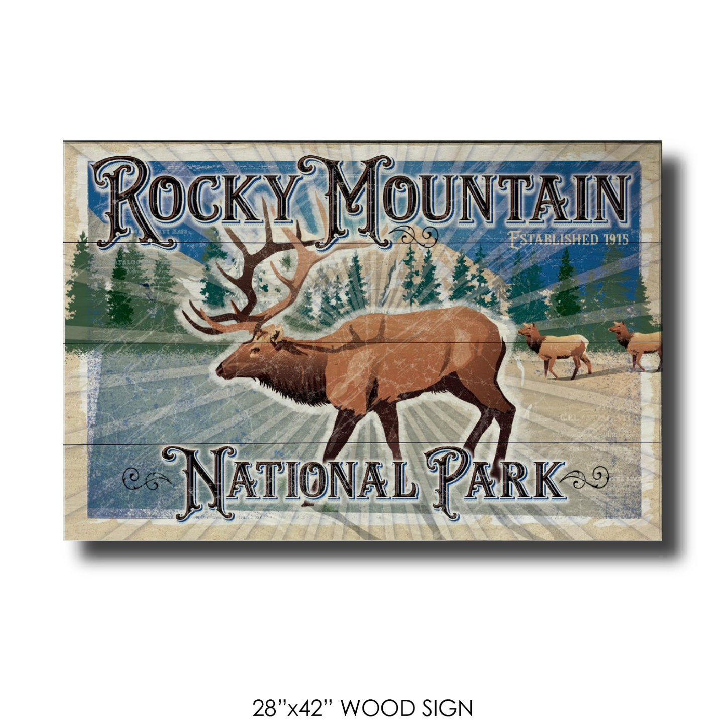 Rocky Mtn National Park Elk