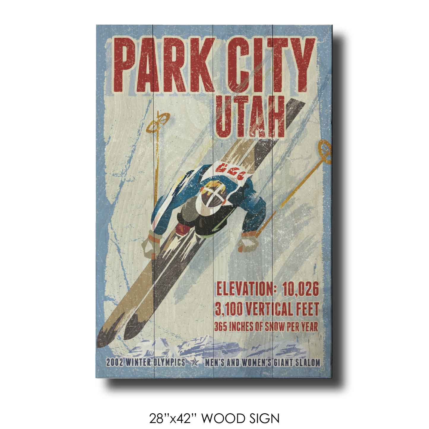 Park City Ski Racer