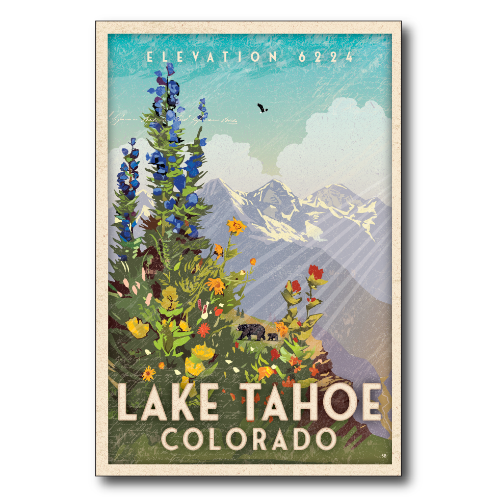 Lake Tahoe Wildflowers Black Bear