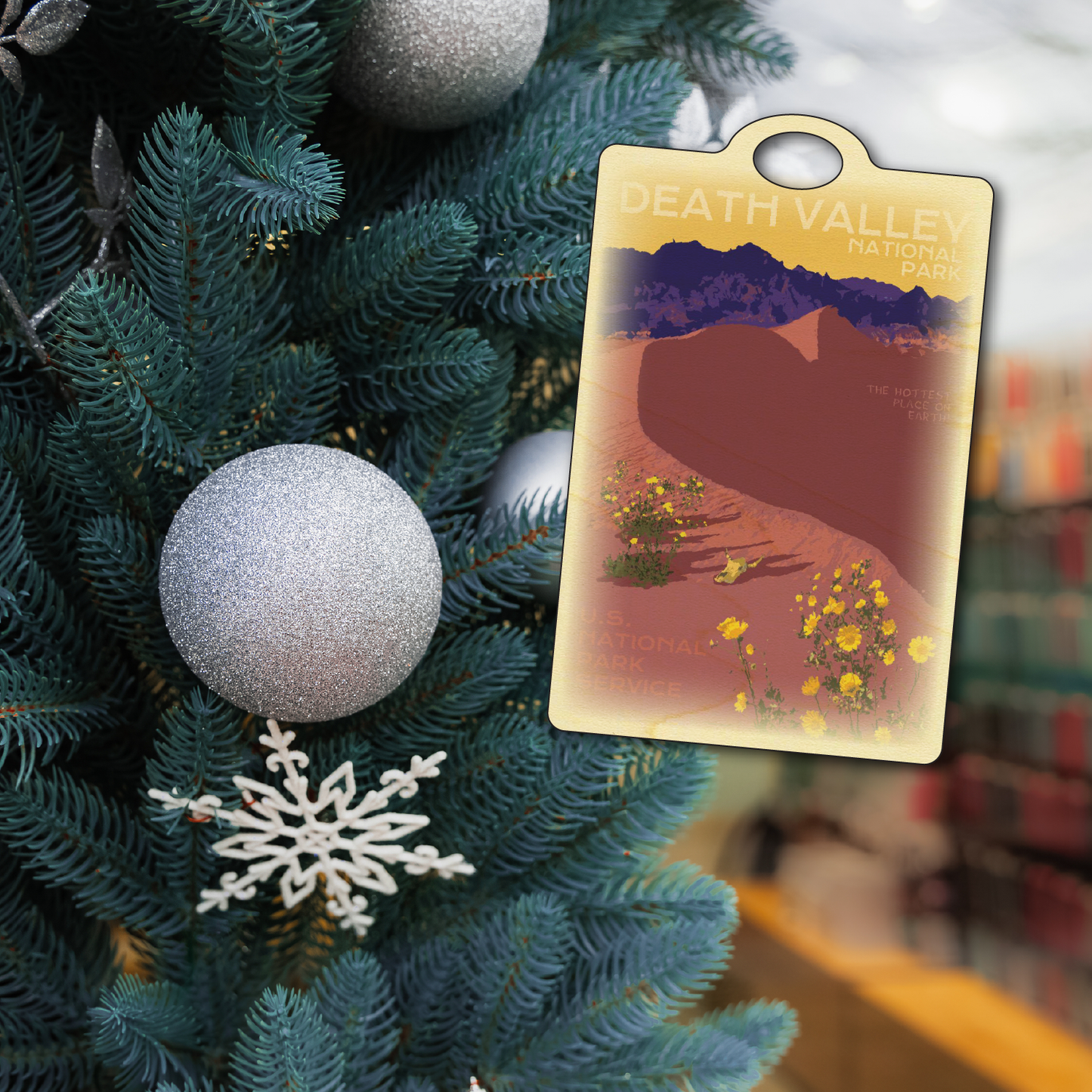 Death Valley Flowers