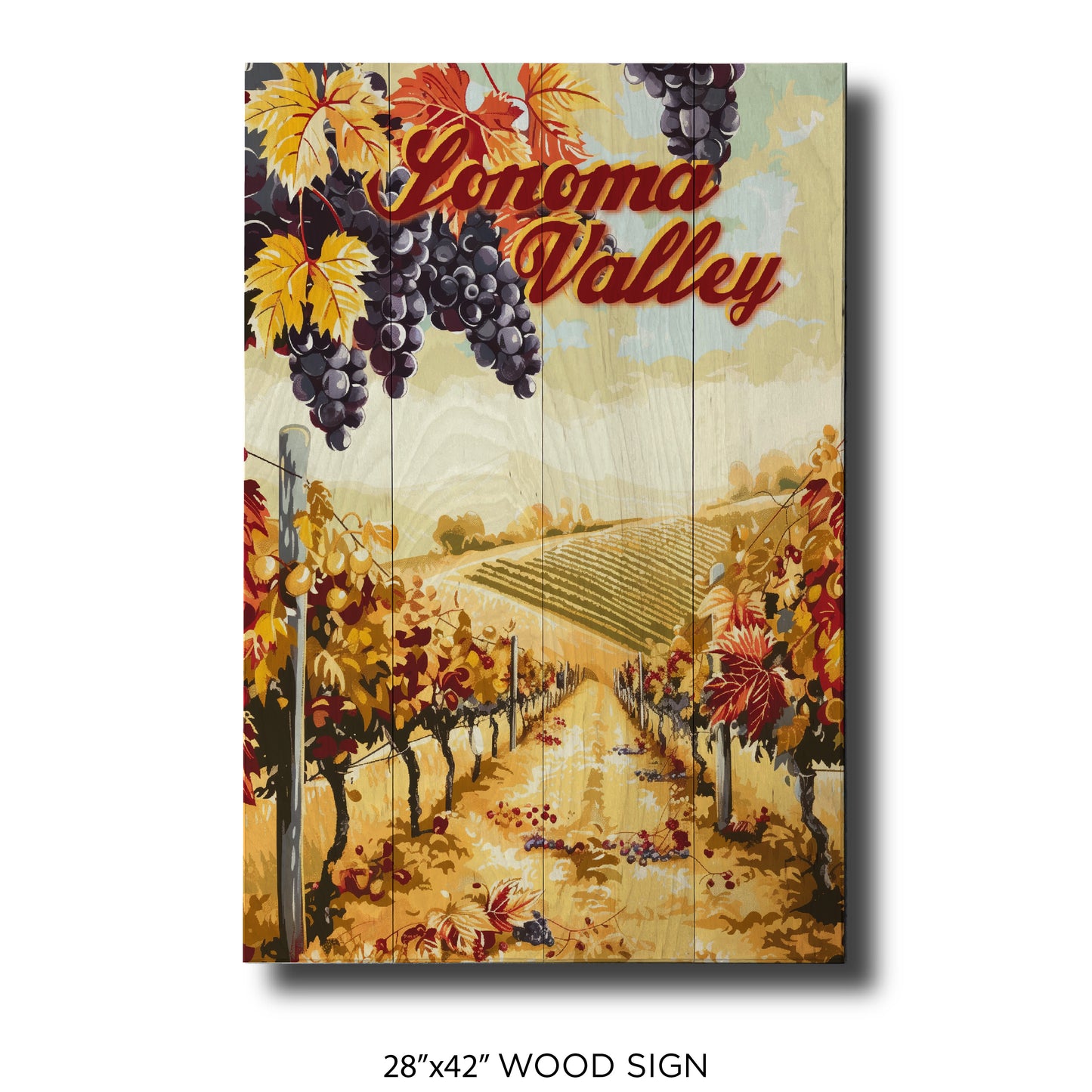 Orange Vines Sonoma Valley