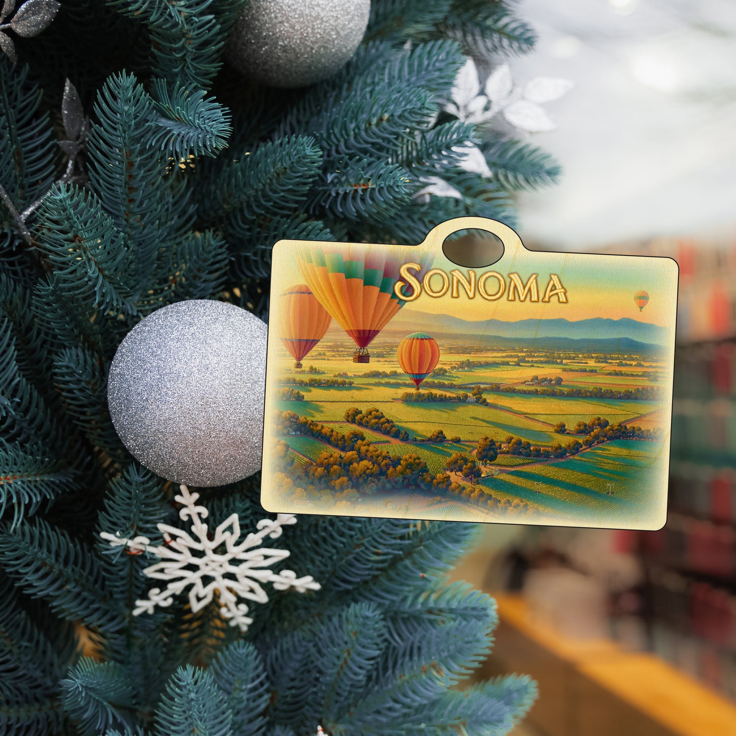 Sonoma Hot Air Balloons