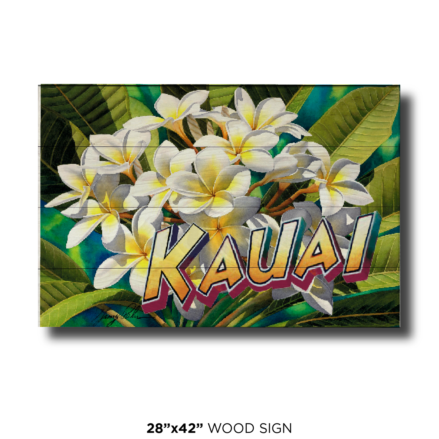 White Plumeria Kauai