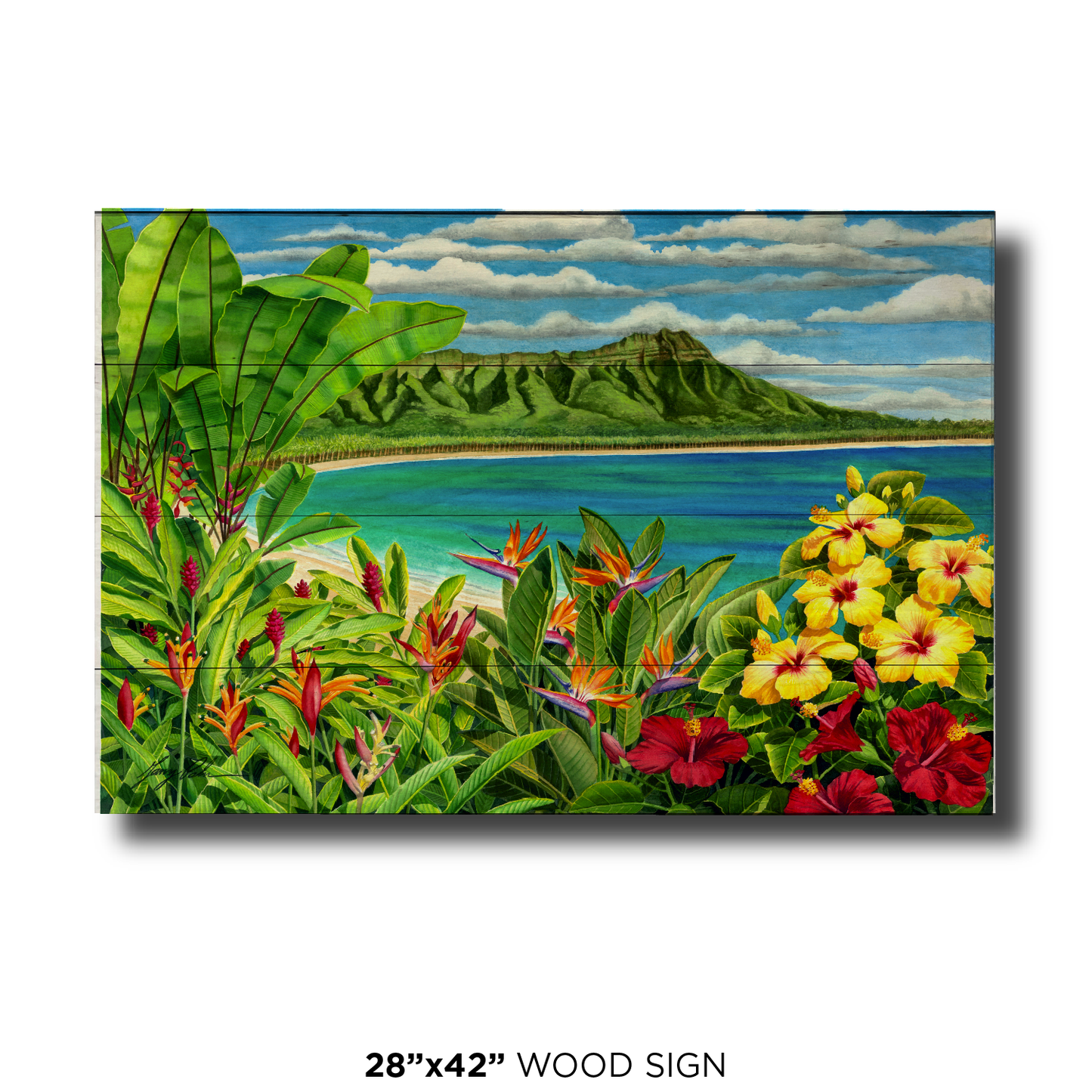 Diamond Head Flowers