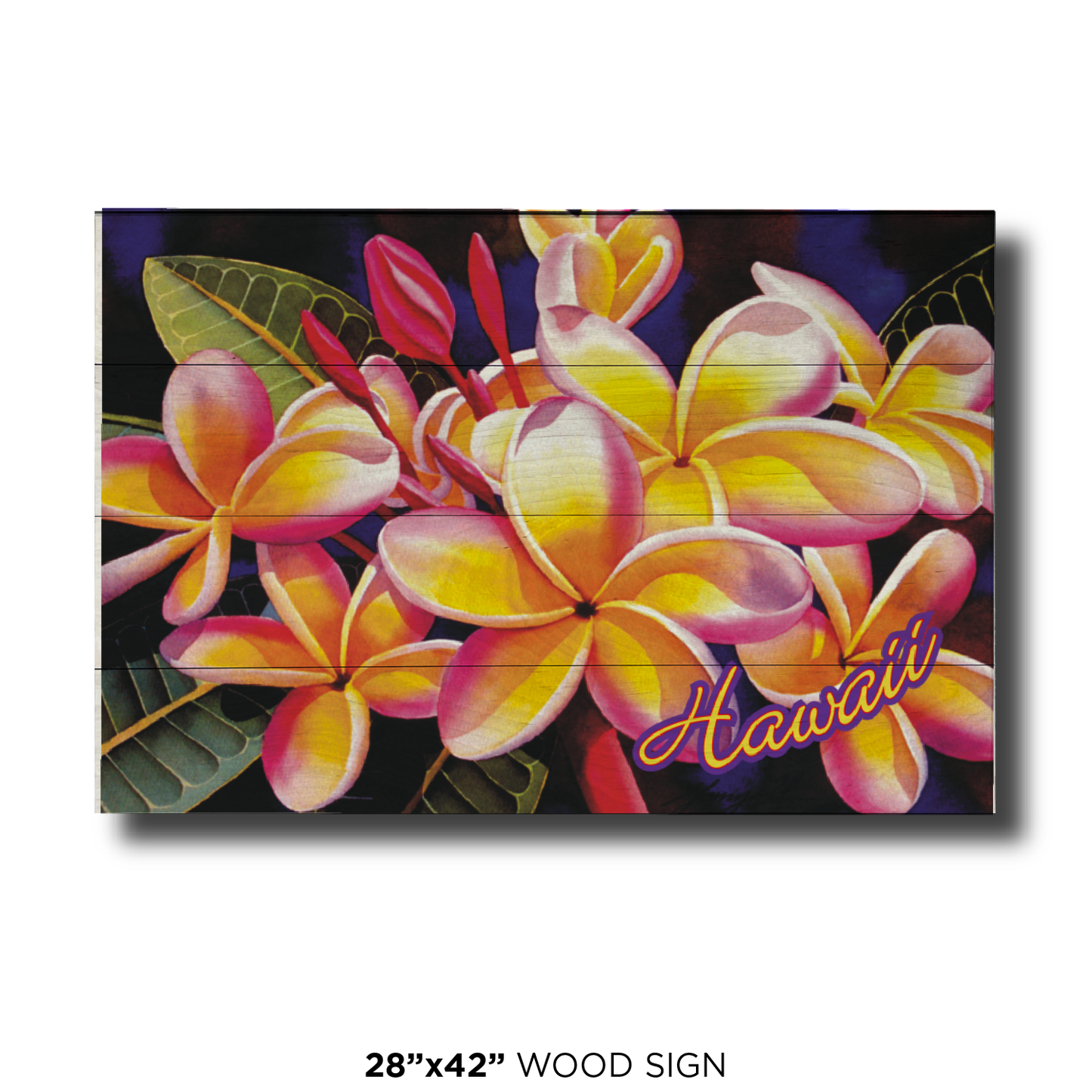 Rainbow Plumeria Hawaii