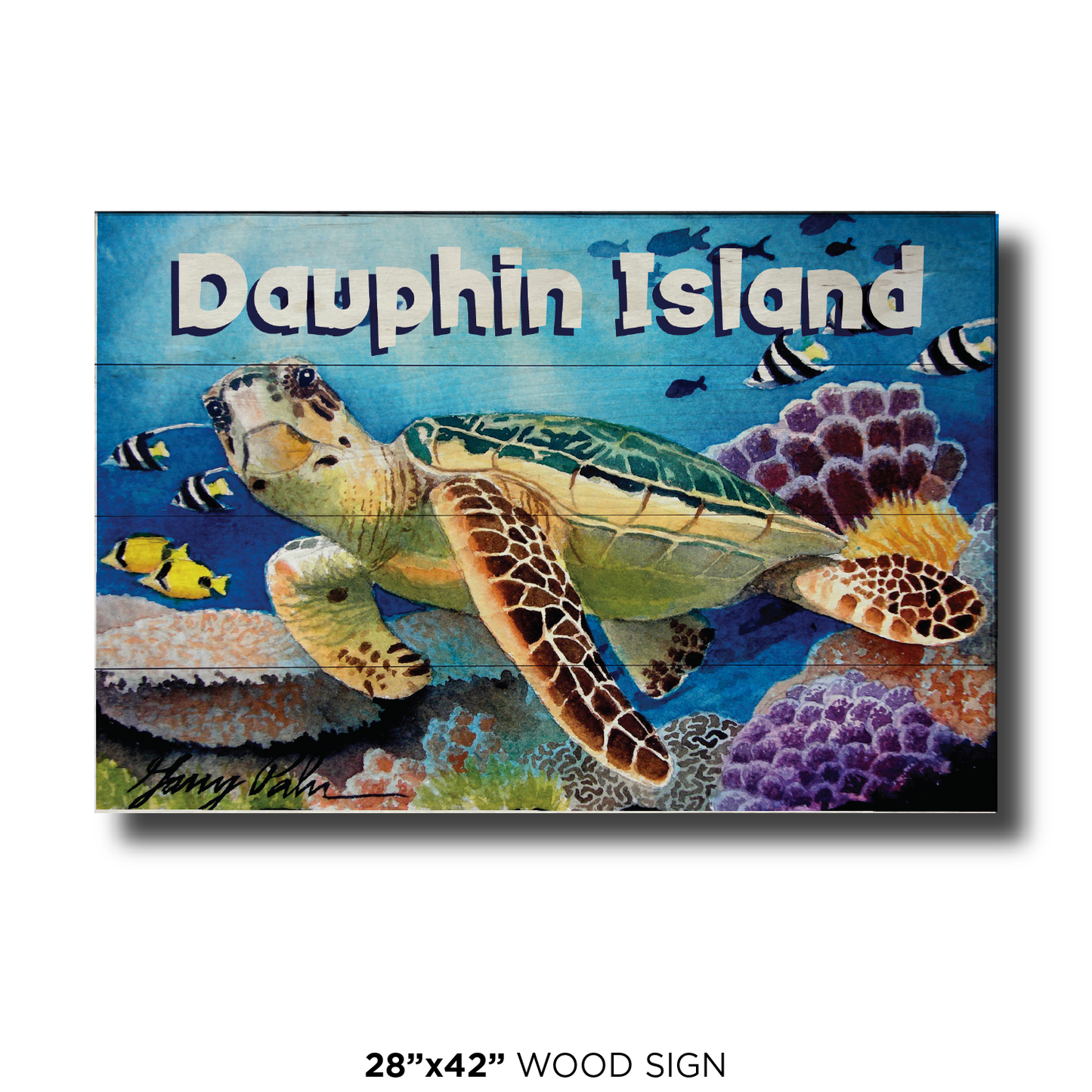 Dauphin Island Turtle View