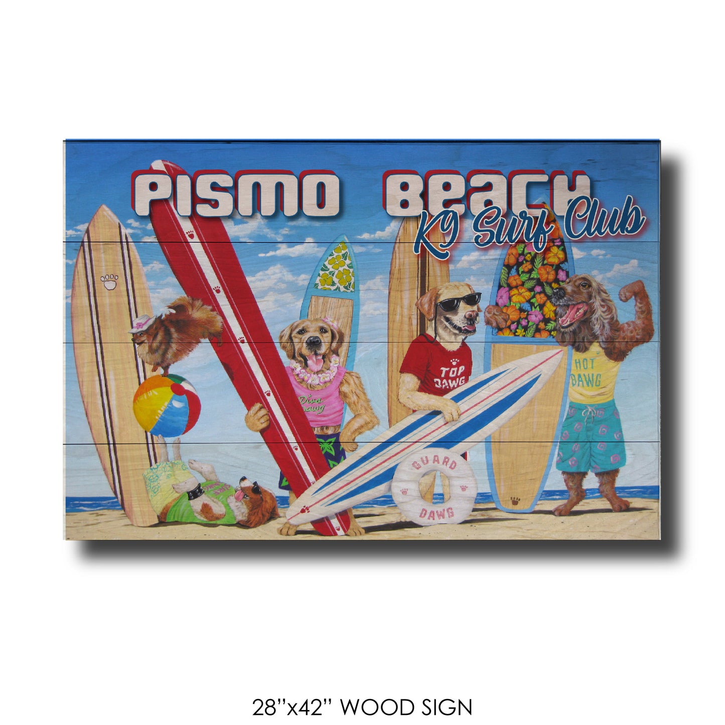 K9 Surf Club Pismo Beach