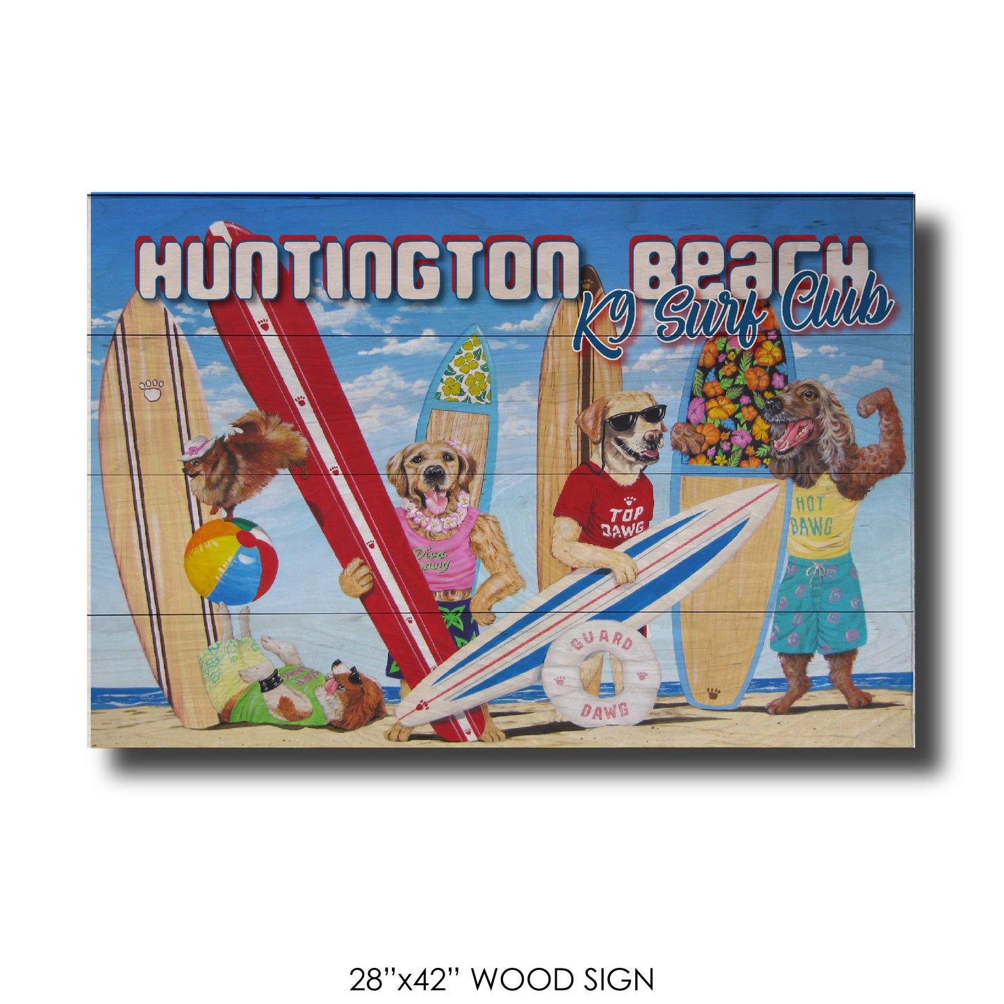 K9 Surf Club Huntington Beach