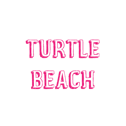 Turtle Beach