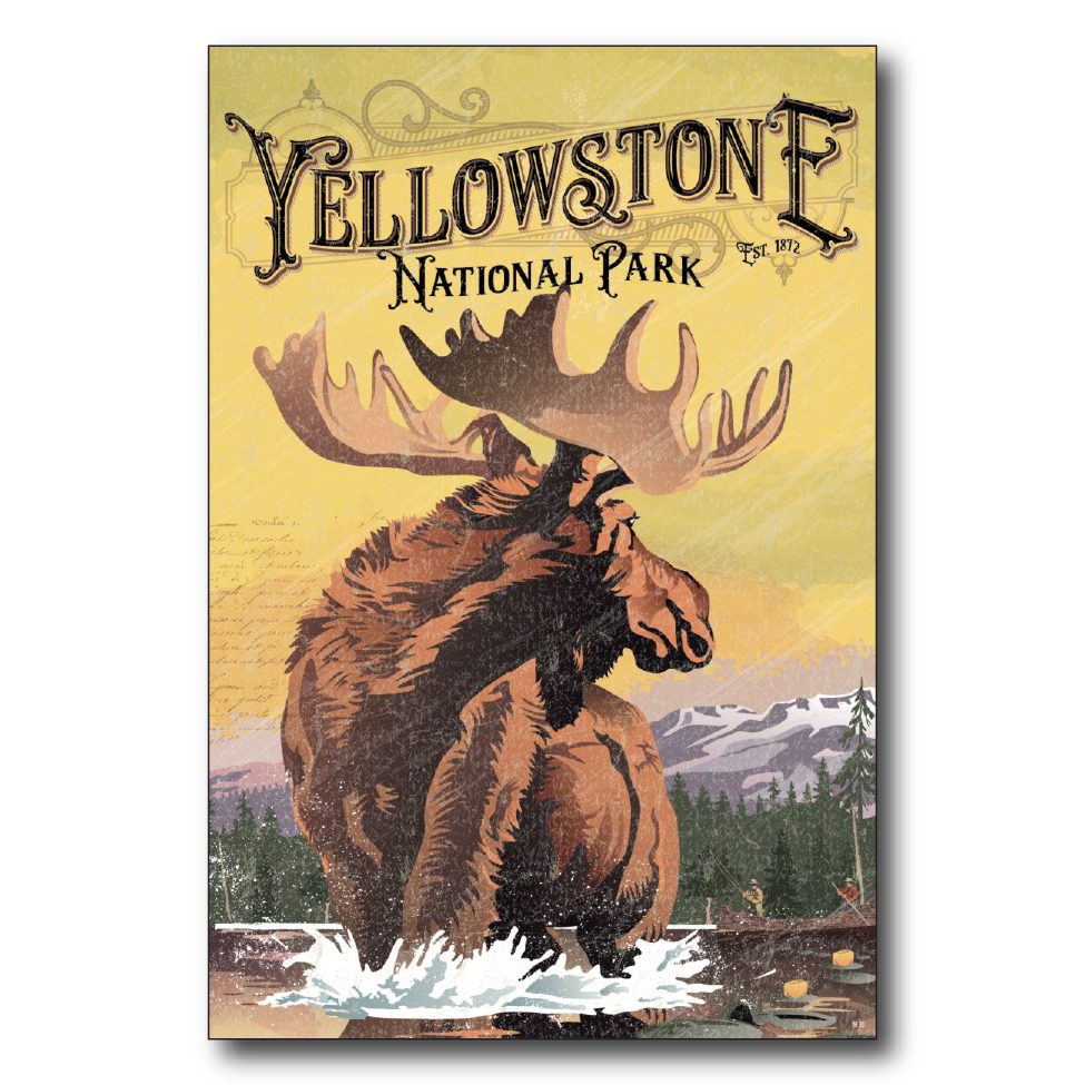 Yellowstone Moose