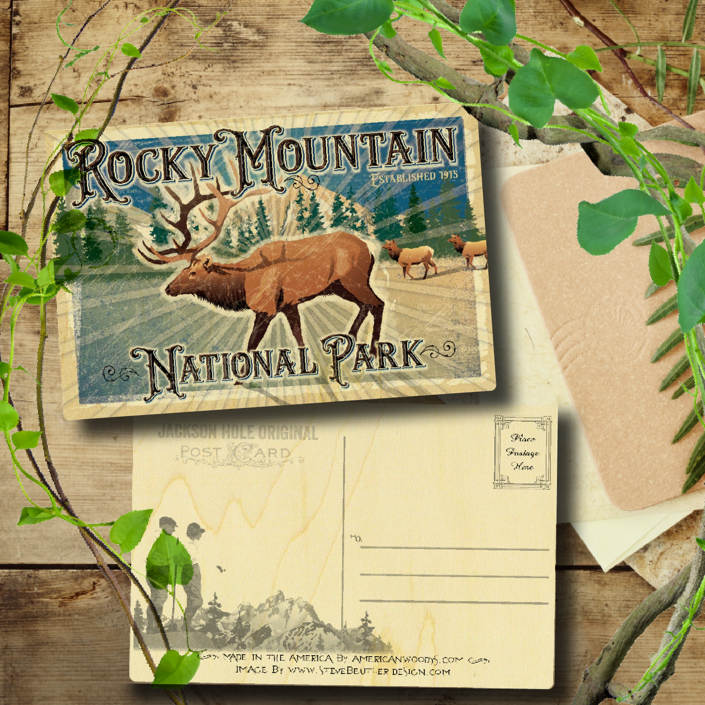 Rocky Mtn National Park Elk