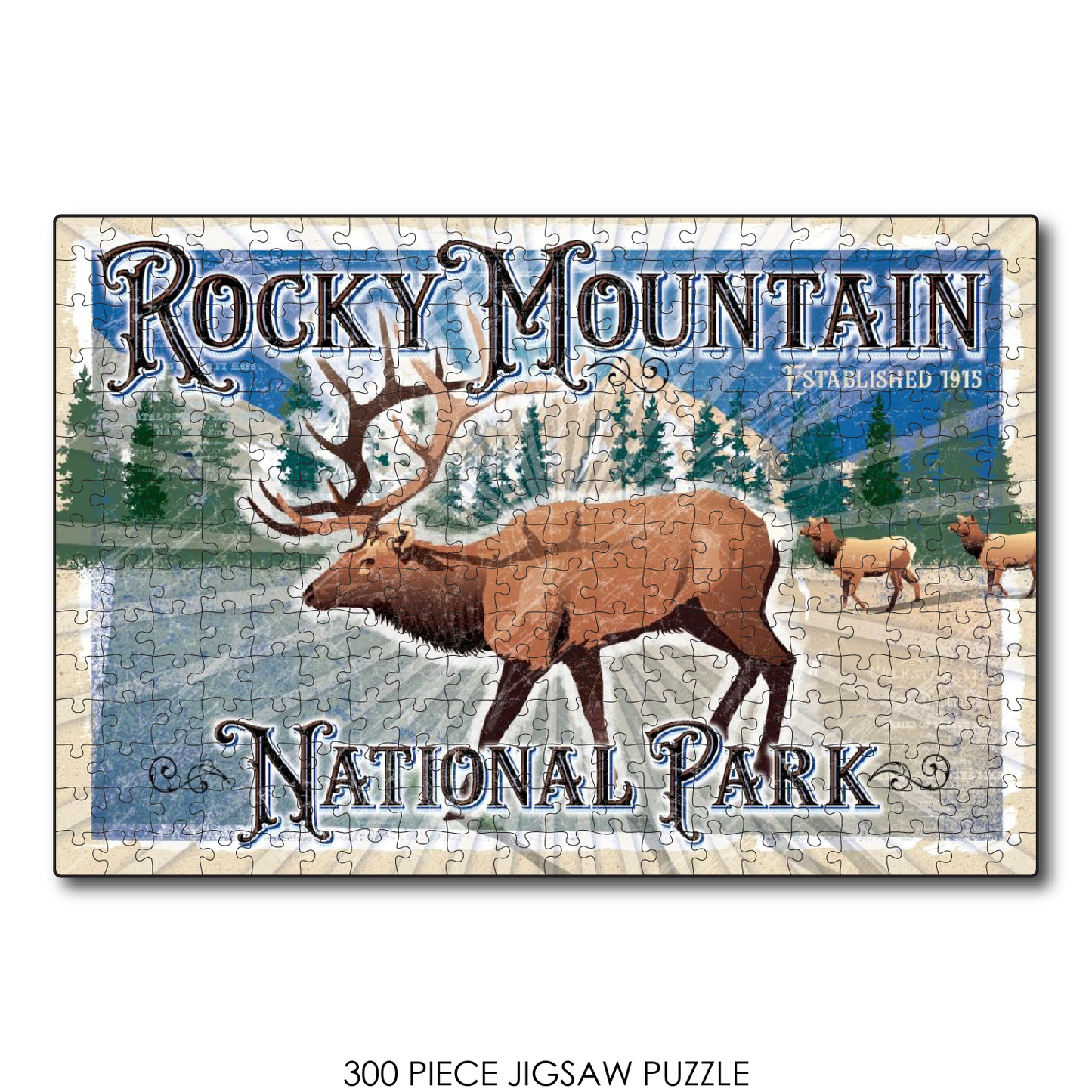 Rocky Mtn National Park Elk