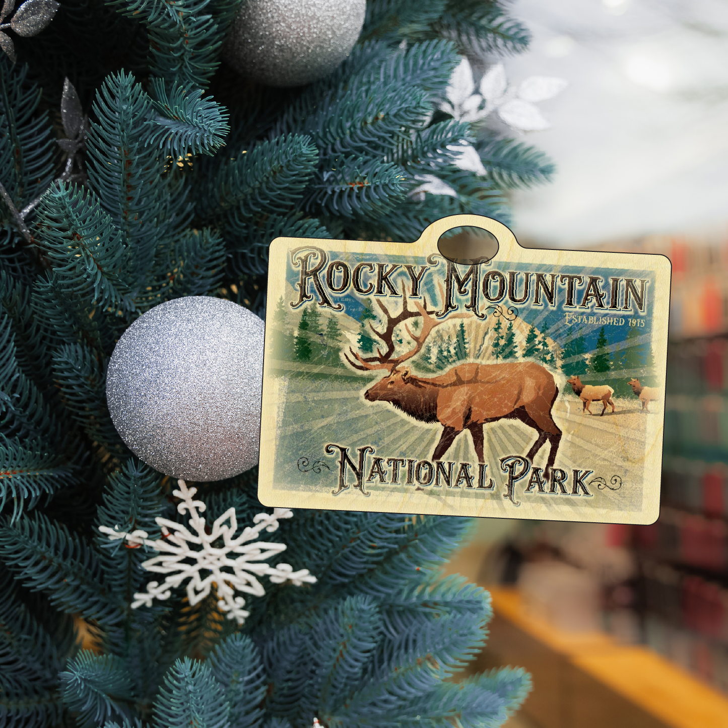 Rocky Mtn National Park Elk