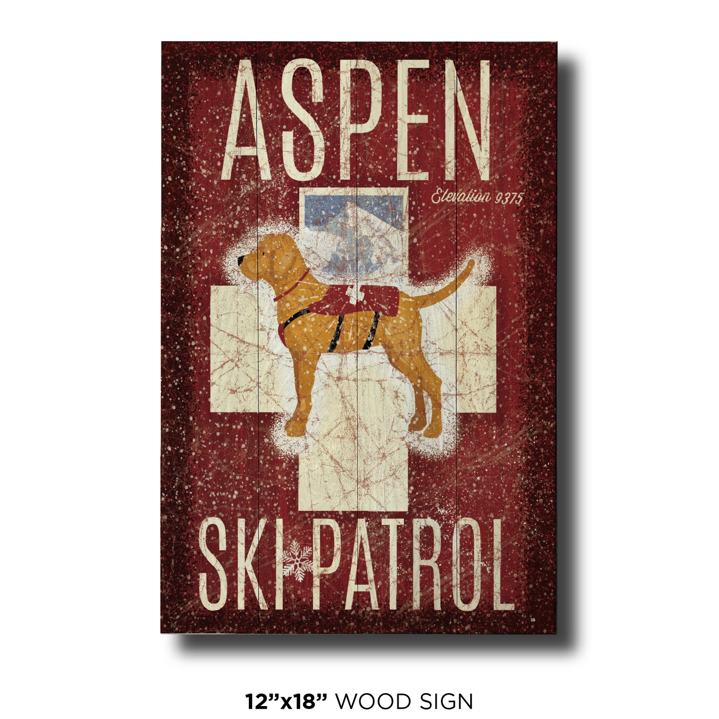 Aspen Ski Patrol