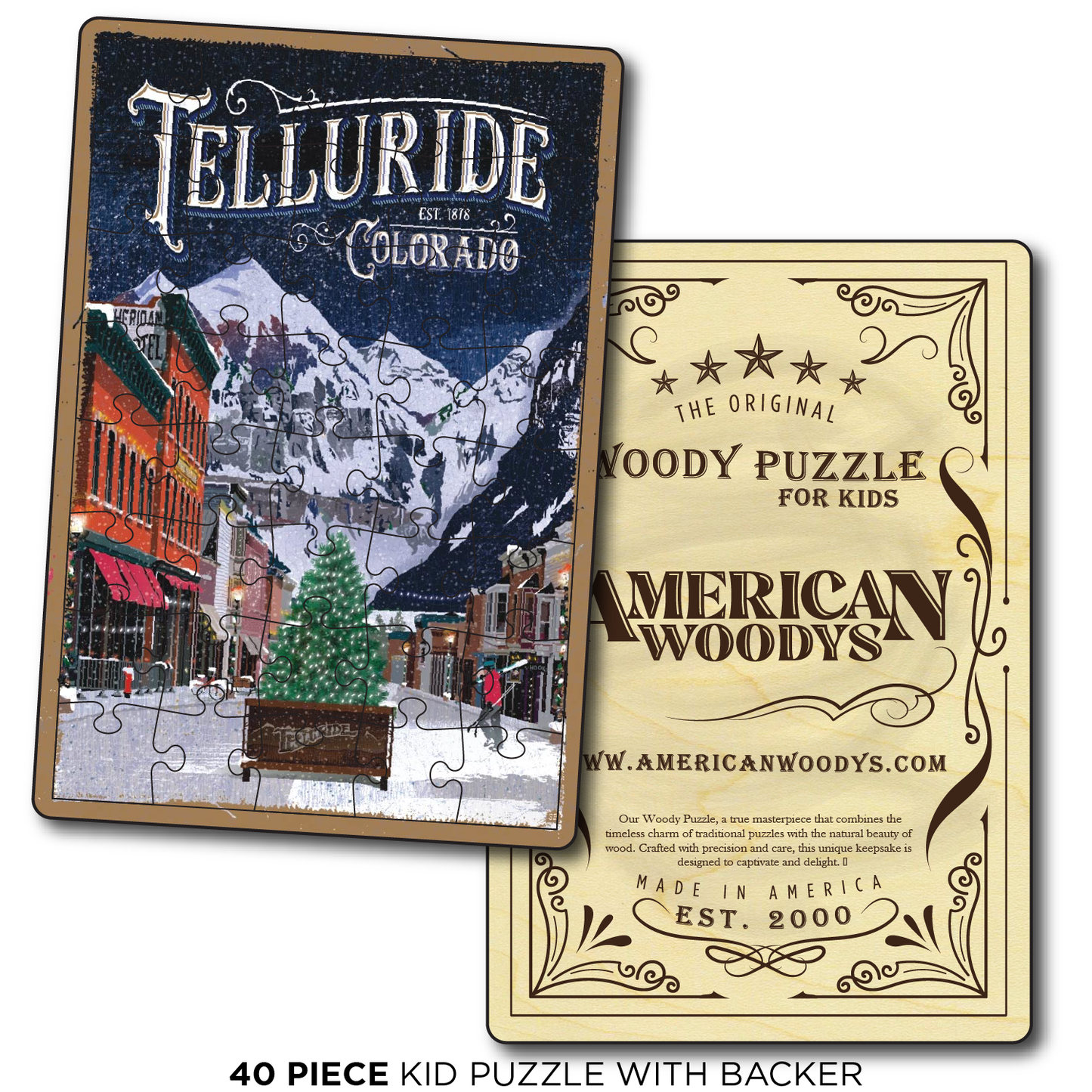 Telluride Town Winter