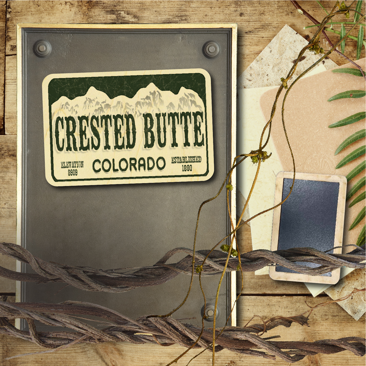 Crested Butte License Plate