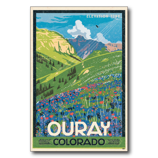 Ouray Hilside Flowers