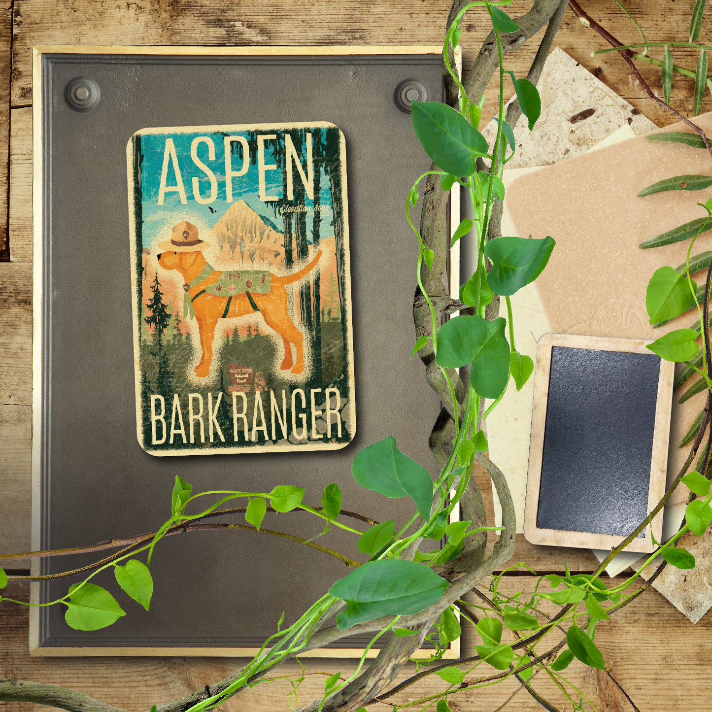 Aspen Bark Ranger