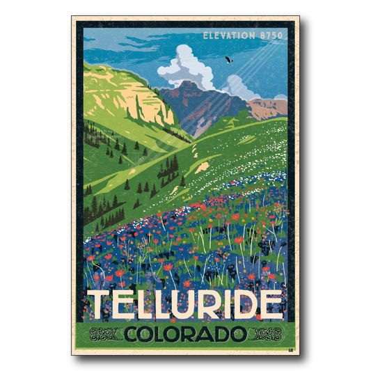 Telluride Hillside Flowers