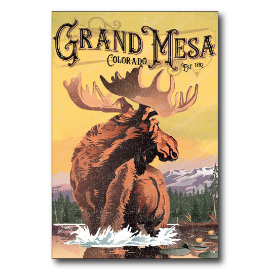 Grand Mesa Moose