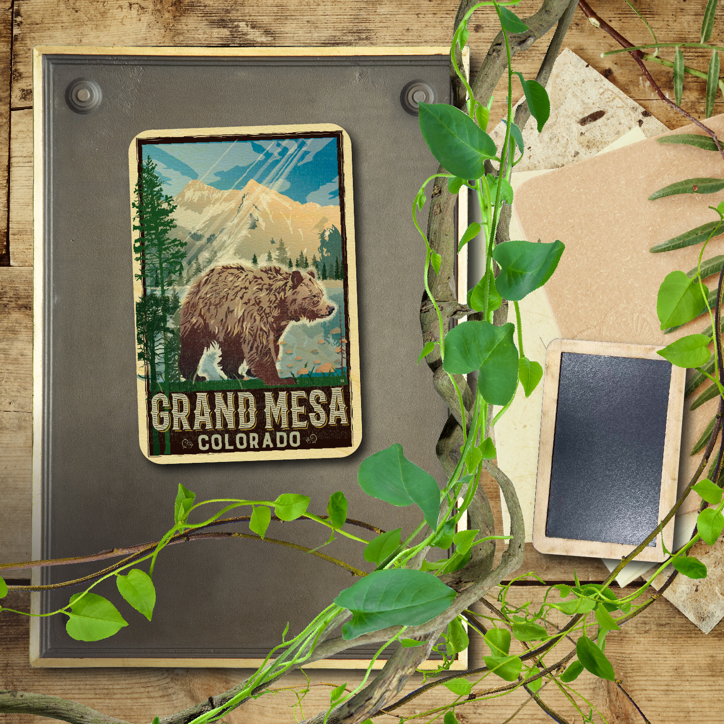 Grand Mesa Bear