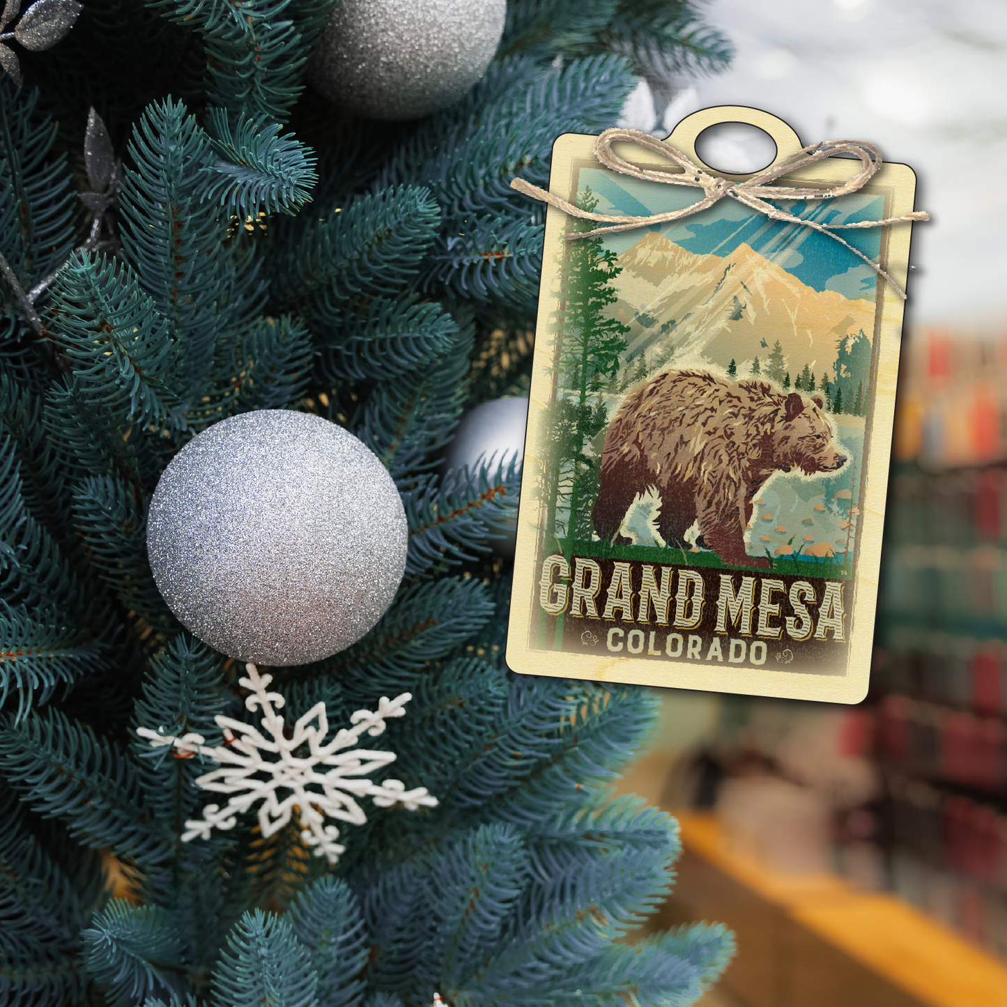 Grand Mesa Bear