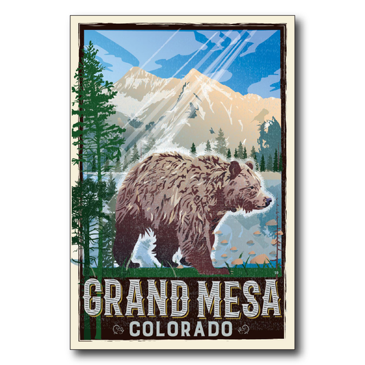 Grand Mesa Bear