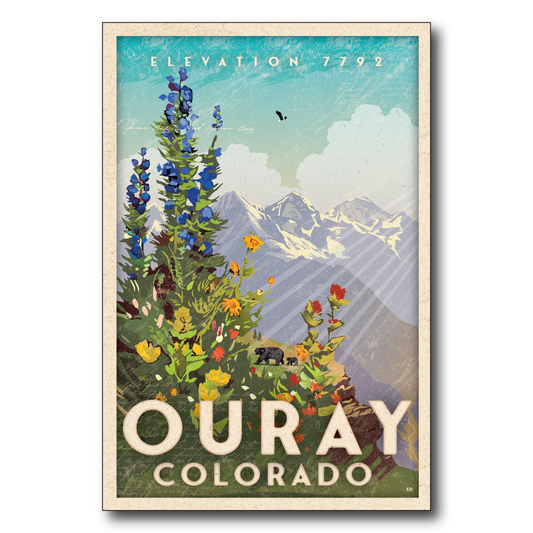 Ouray Wildflowers