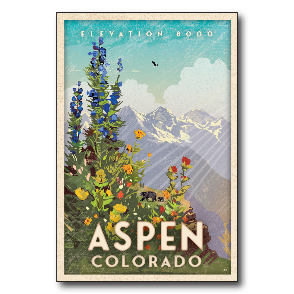 Aspen Wildflowers