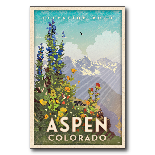 Aspen Wildflowers