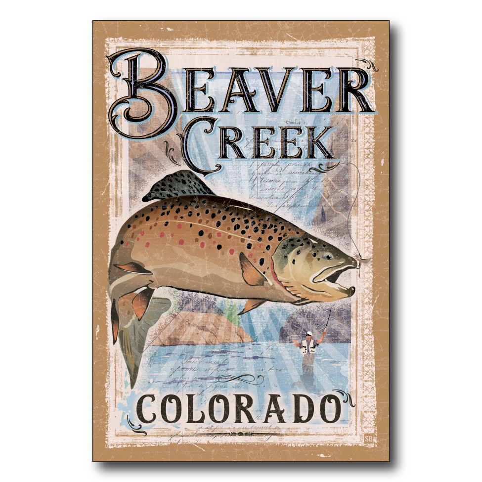 Brown Trout Beaver Creek