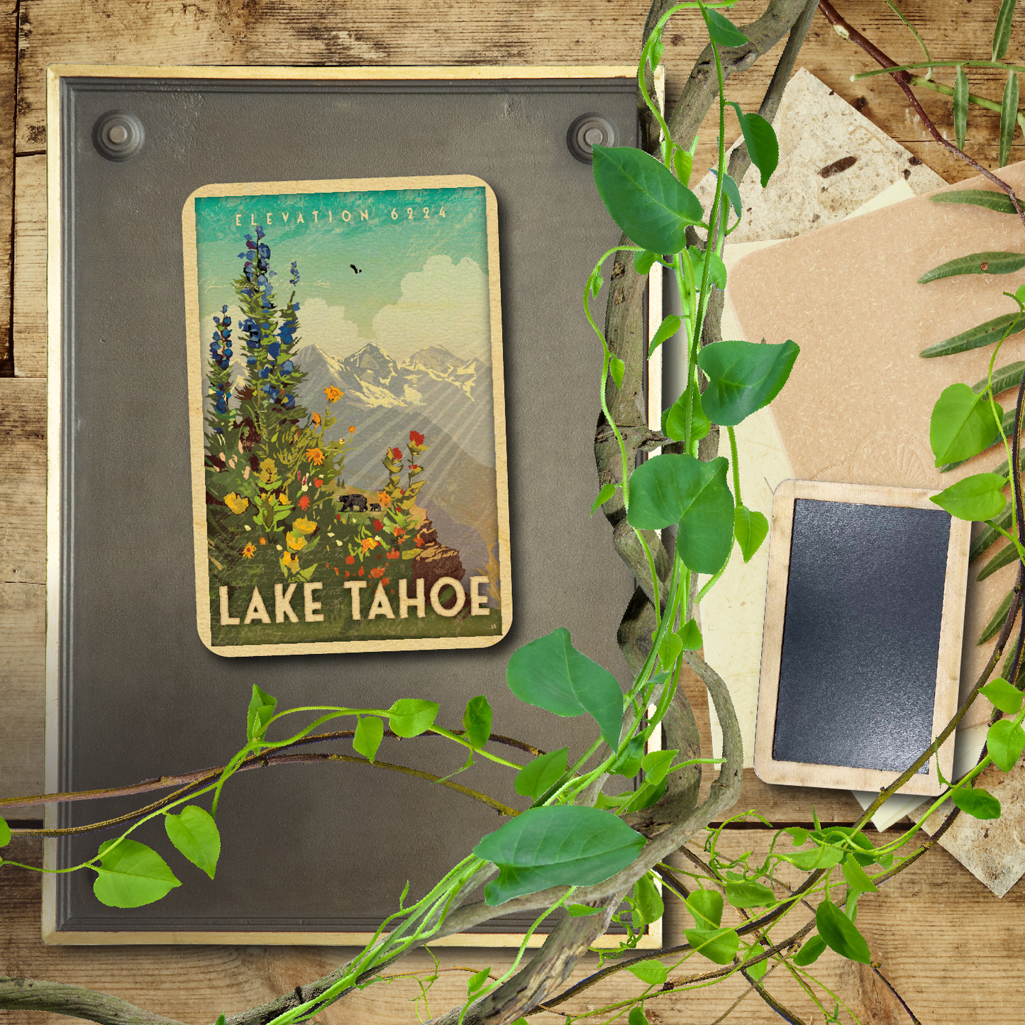 Lake Tahoe Sans Cali Wildflowers