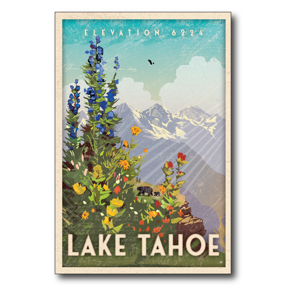 Lake Tahoe Sans Cali Wildflowers