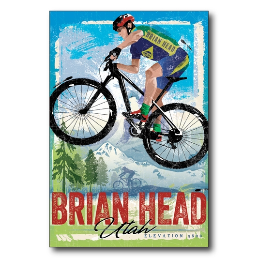 Brian Head Mountain Bike