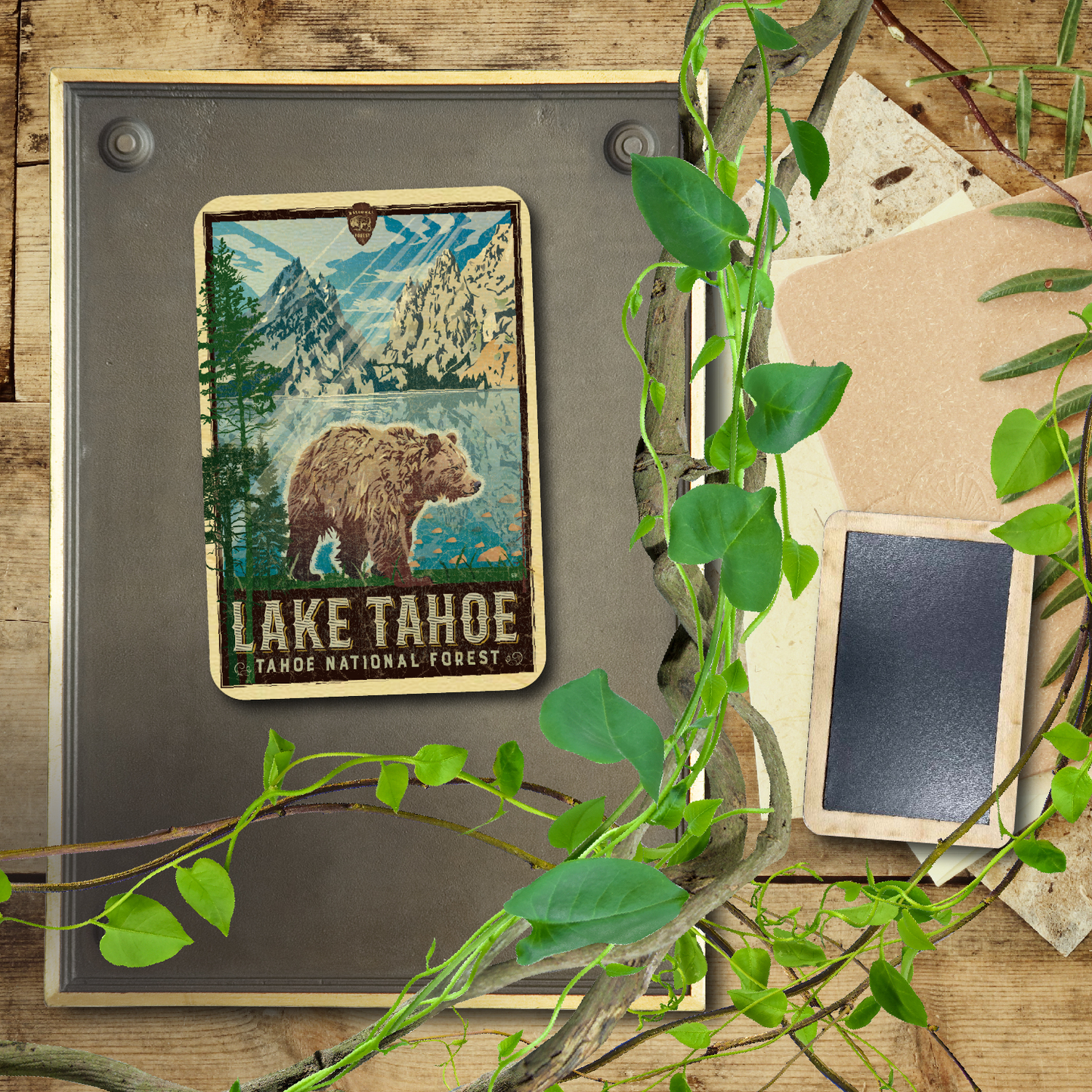 Lake Tahoe Bear