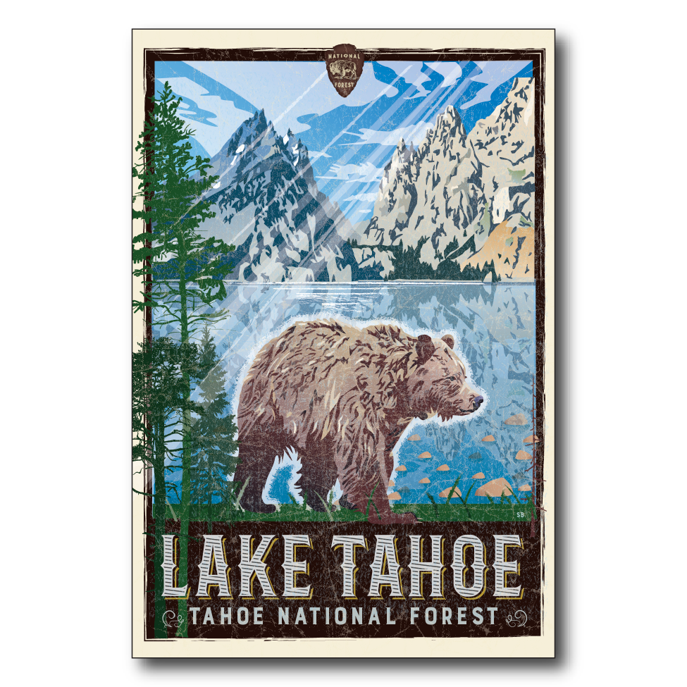 Lake Tahoe Bear