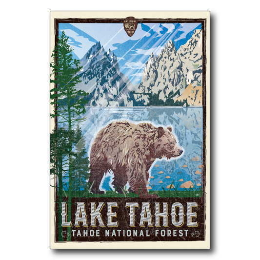 Lake Tahoe Bear