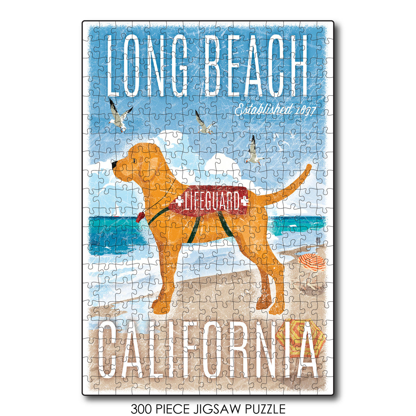 Long Beach Lifeguard Dog