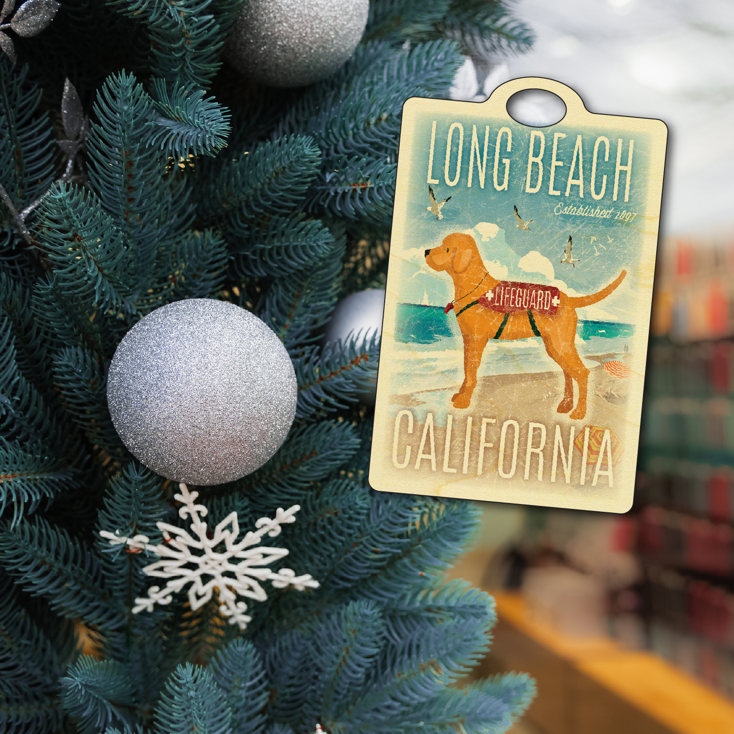 Long Beach Lifeguard Dog