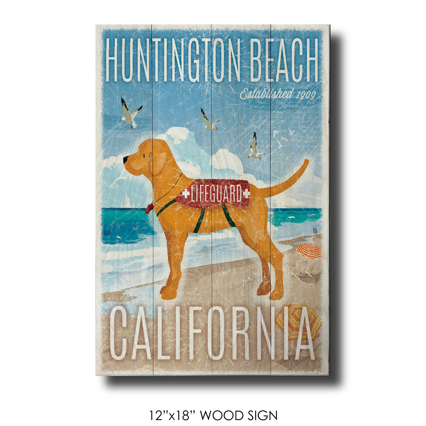 Huntington Beach Lifeguard Dog