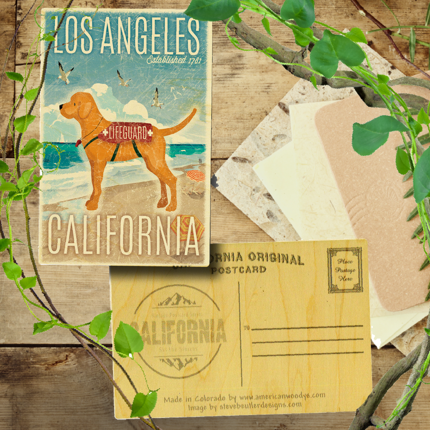 Los Angeles Lifeguard Dog