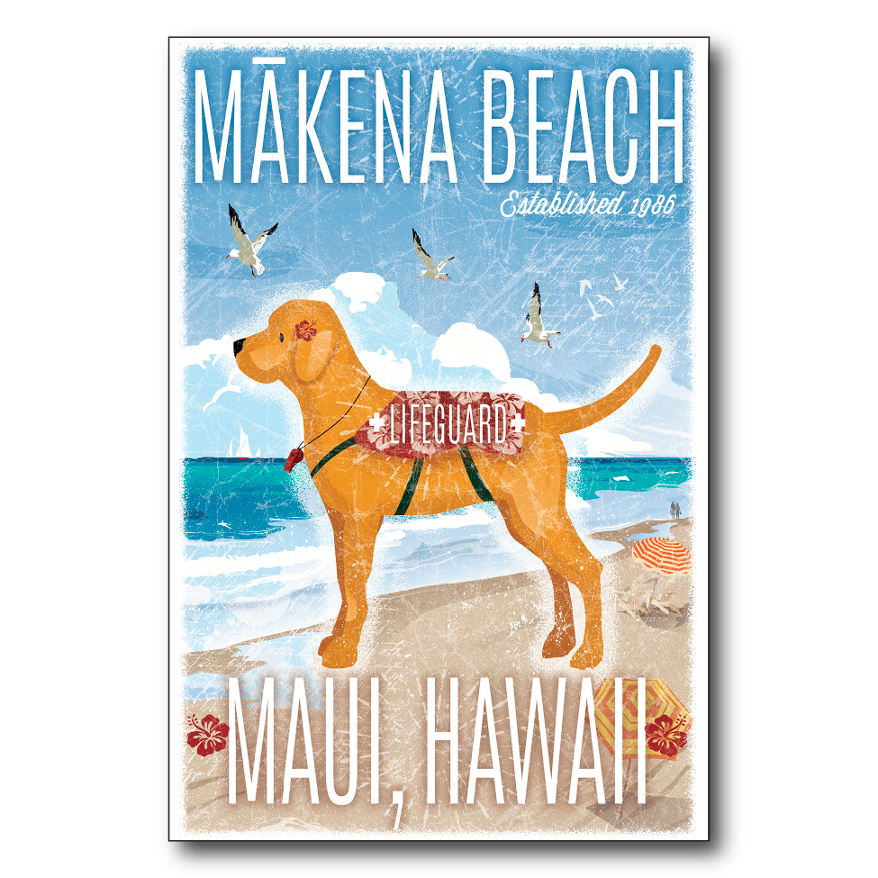 Maui Makena Lifeguard Dog