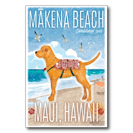 Maui Makena Lifeguard Dog
