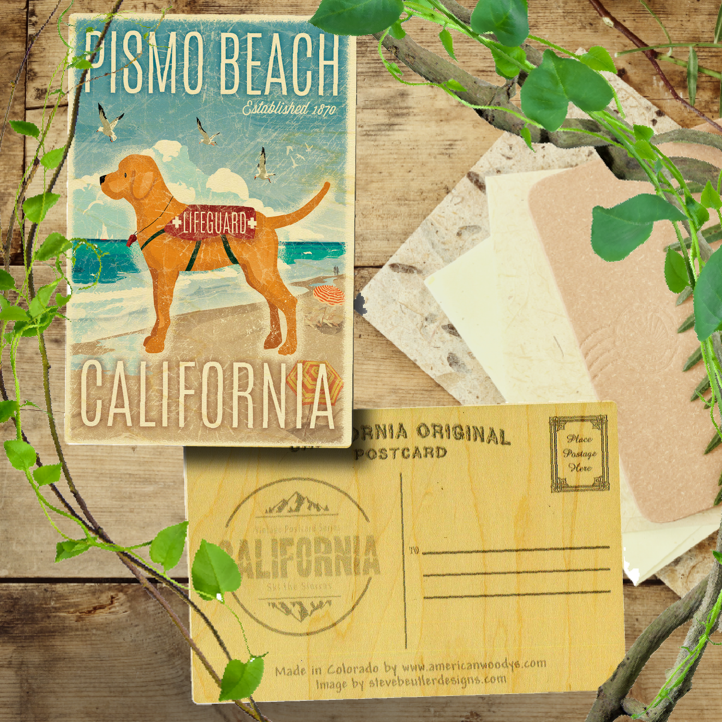 Pismo Beach Lifeguard Dog