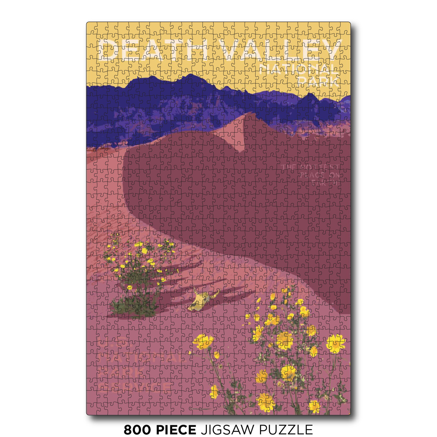 Death Valley Flowers