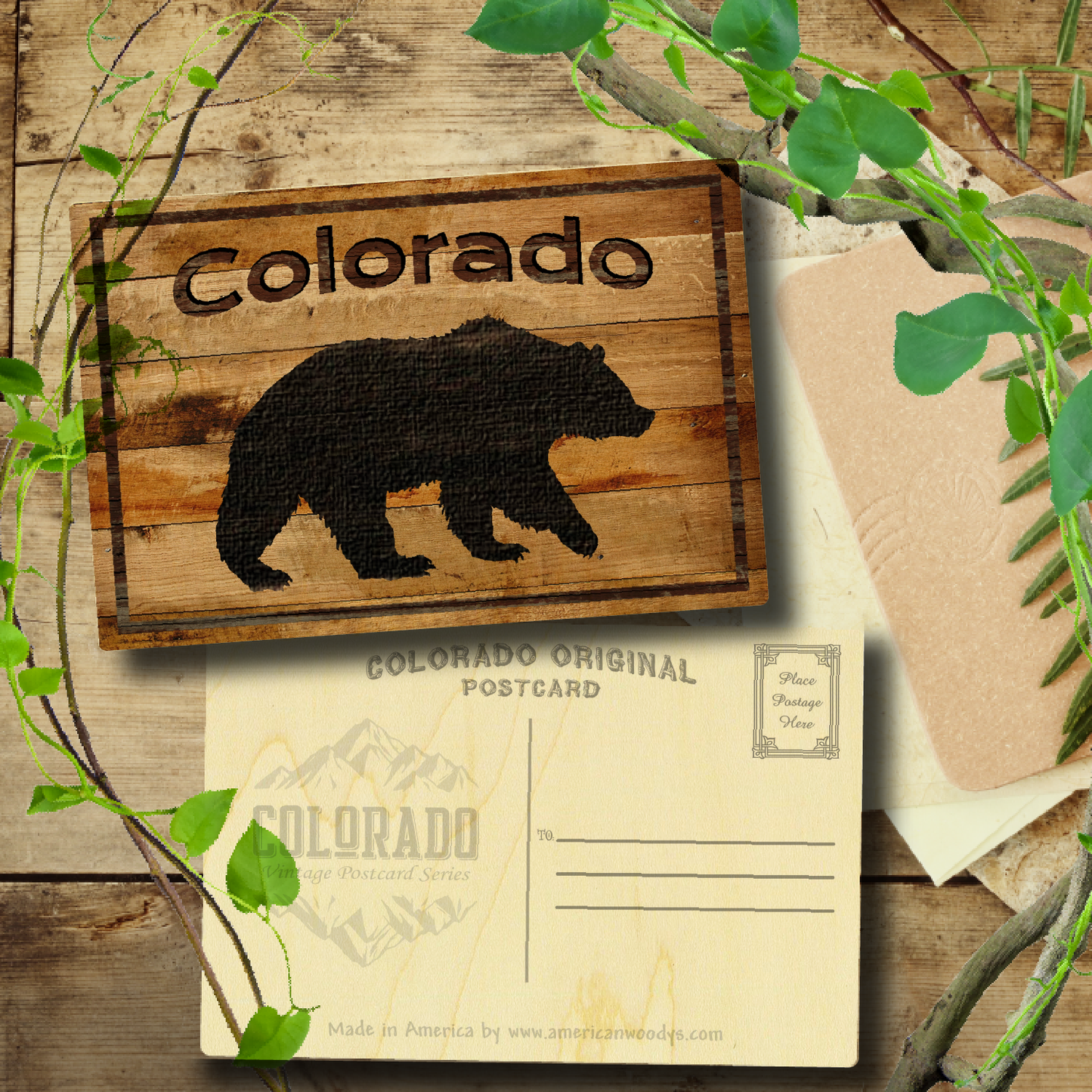 Colorado Black Bear