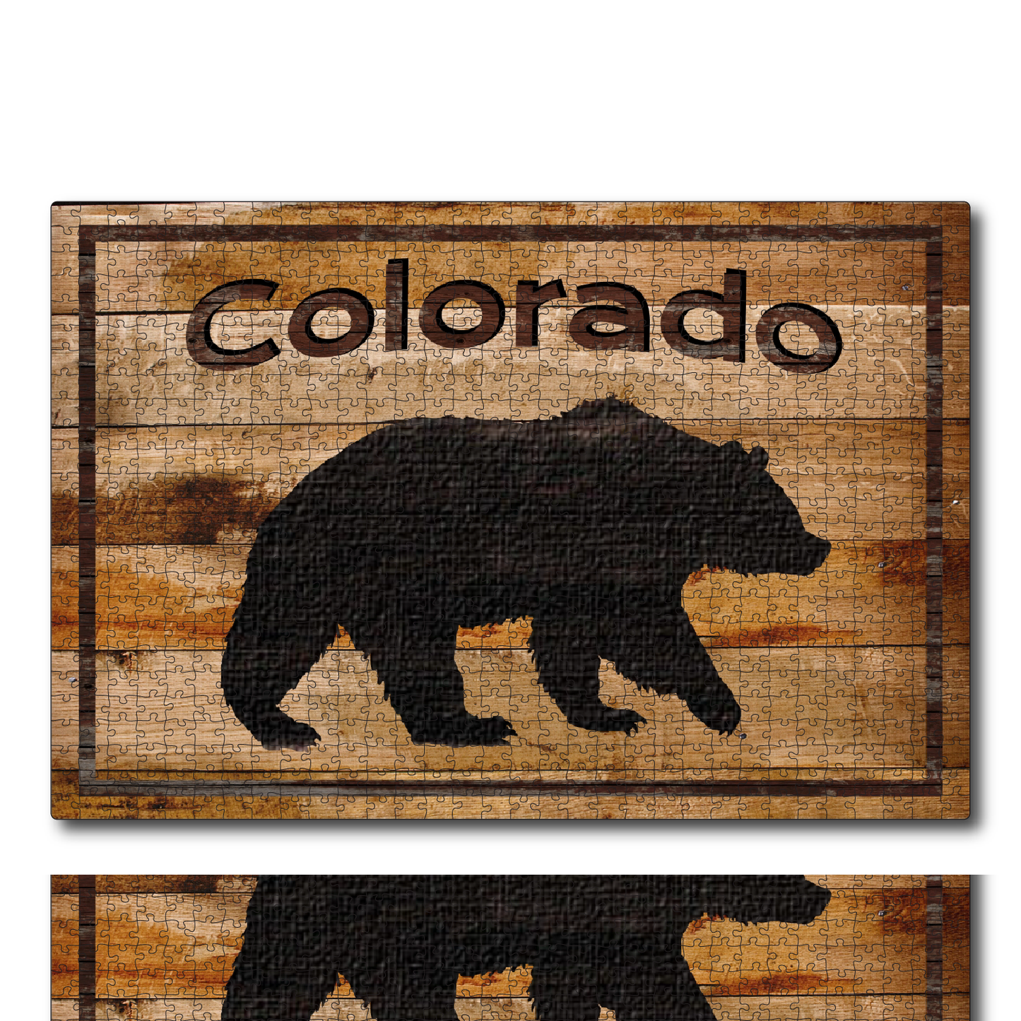 Colorado Black Bear