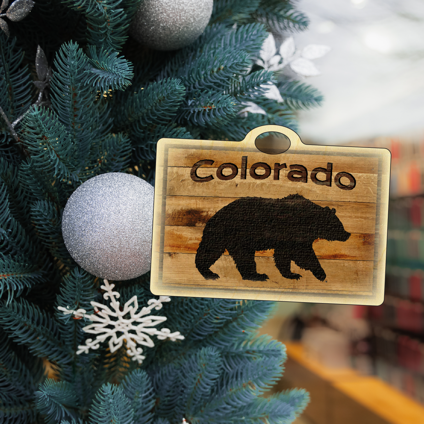 Colorado Black Bear