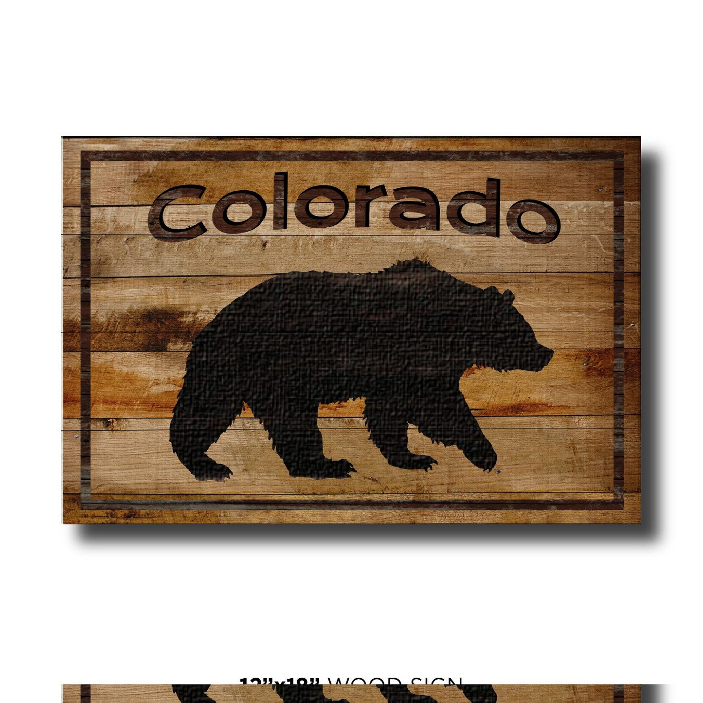 Colorado Black Bear