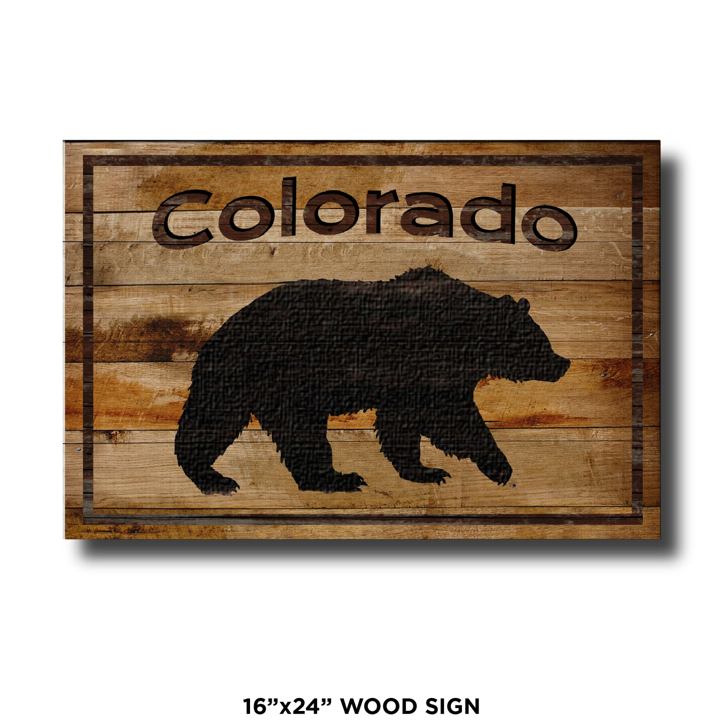Colorado Black Bear
